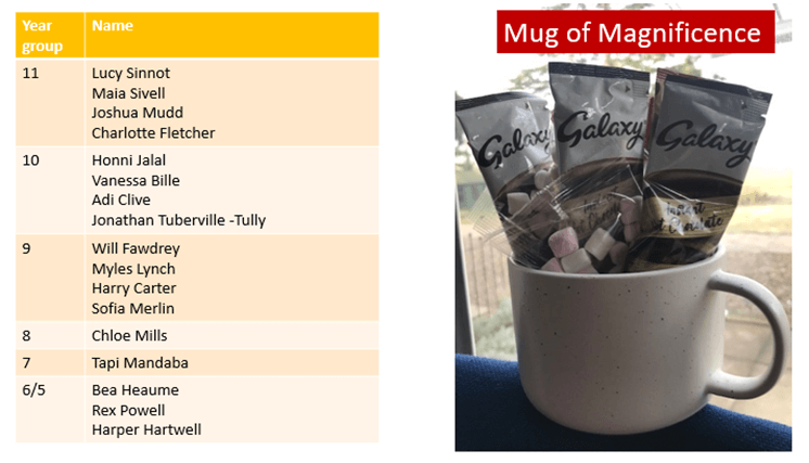 Mug of Magnificence