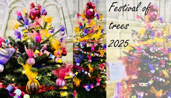 Festival of Trees 2025